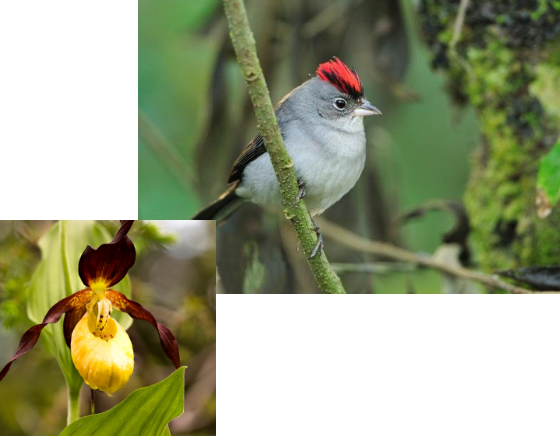 1-natureza-clima-2