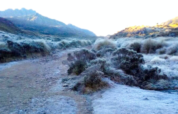 3-natureza-paisagem-2